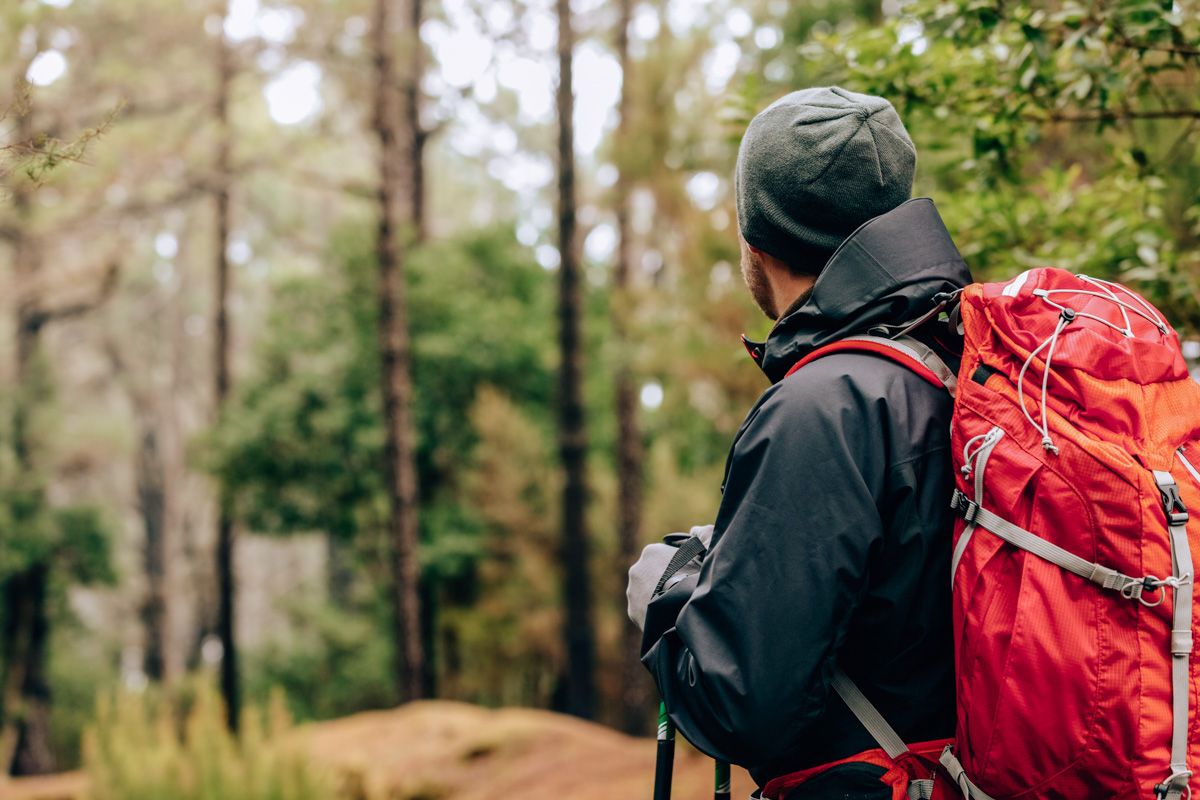 A male hiker wearing a black windbreaker and a red backpack gazes out at an out-of-focus forest.