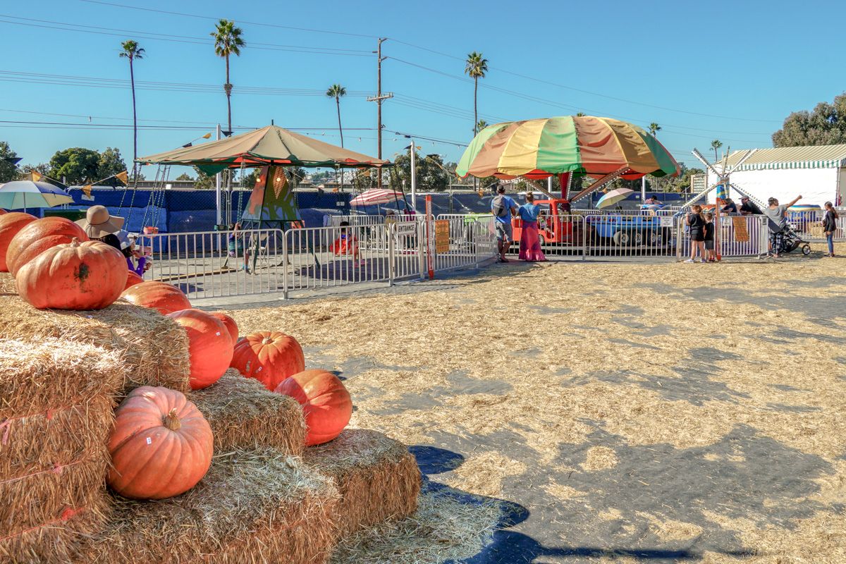 FAQs About San Diego Pumpkin Patches 