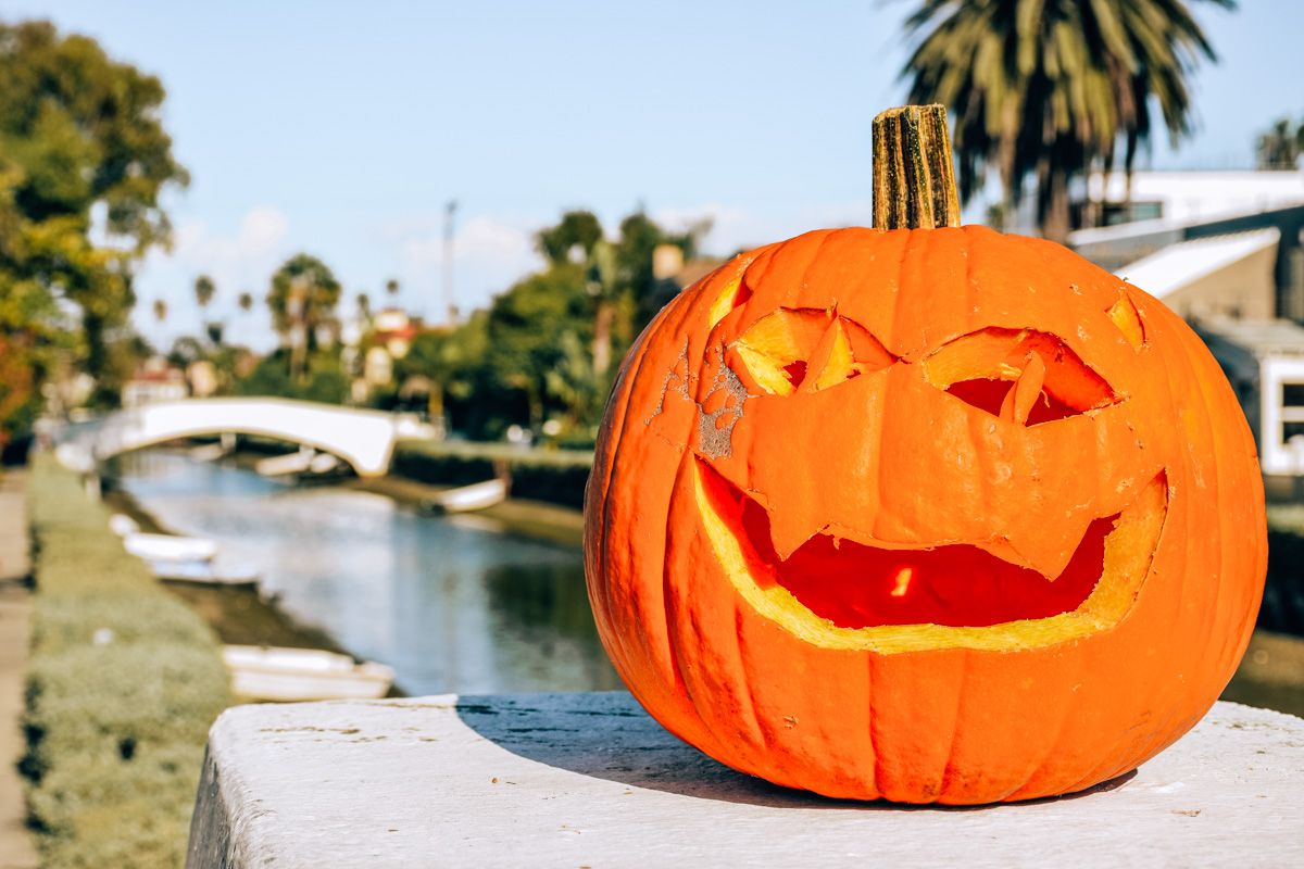 A carved pumpkin sits on a ledge with a soft-focus view of palm trees lining a Venice Beach canal in the background.