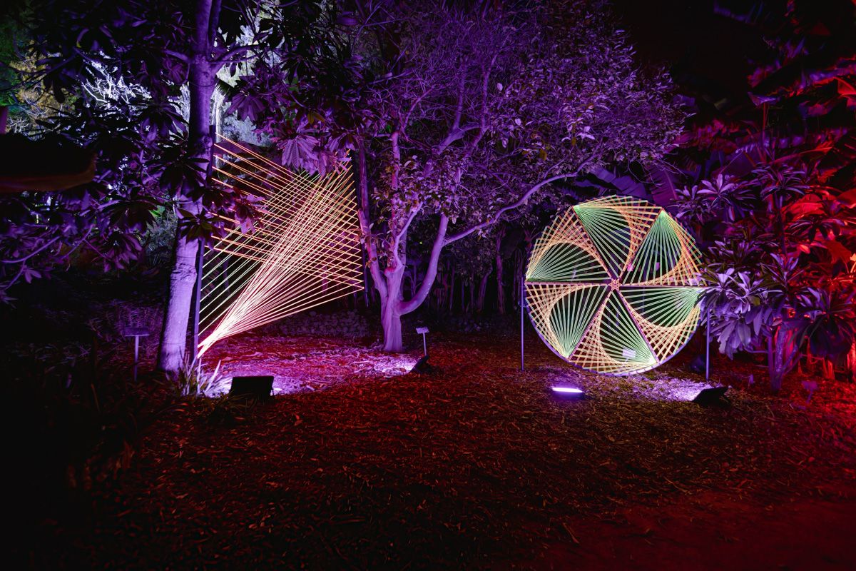 A lightscape in the San Diego Botanic Garden seen at night as two geomeric sculptural forms amongst trees lit with purple and red lights.