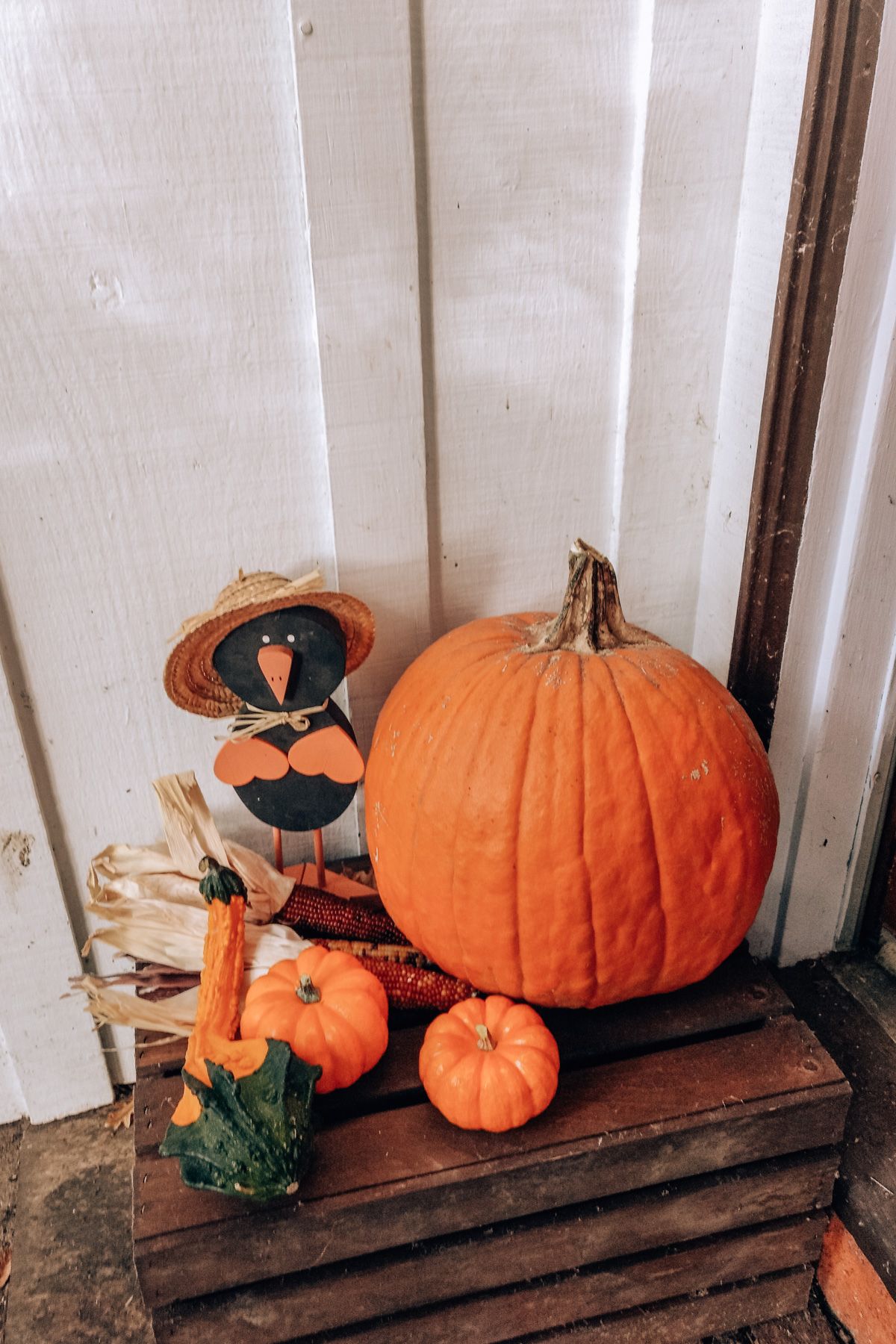 Halloween Events in Sacramento: A front porch display of pumpkins, decorative gourds, and Indian corn sitting on a wooden crate.