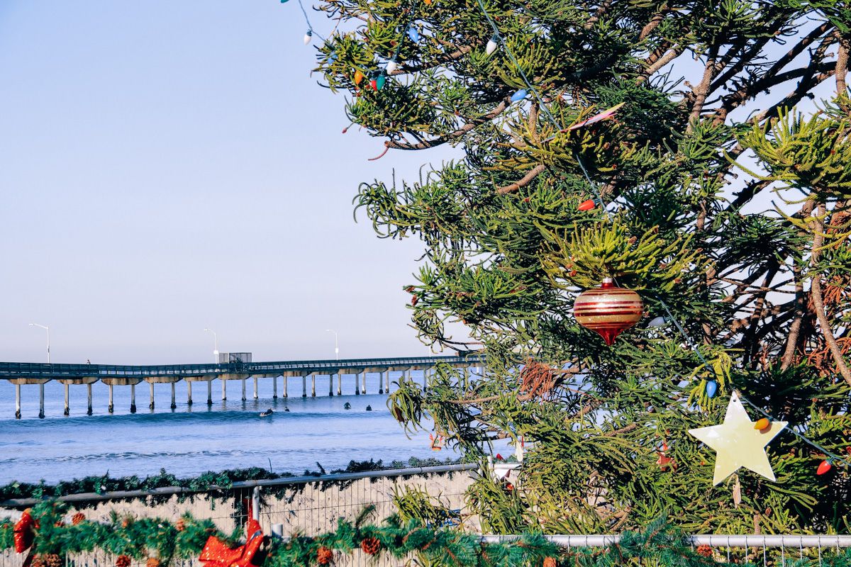 Christmas decorations on pine branches with a Southern California beach and pier in the background, showcasing some of the best Christmas lights in San Diego.