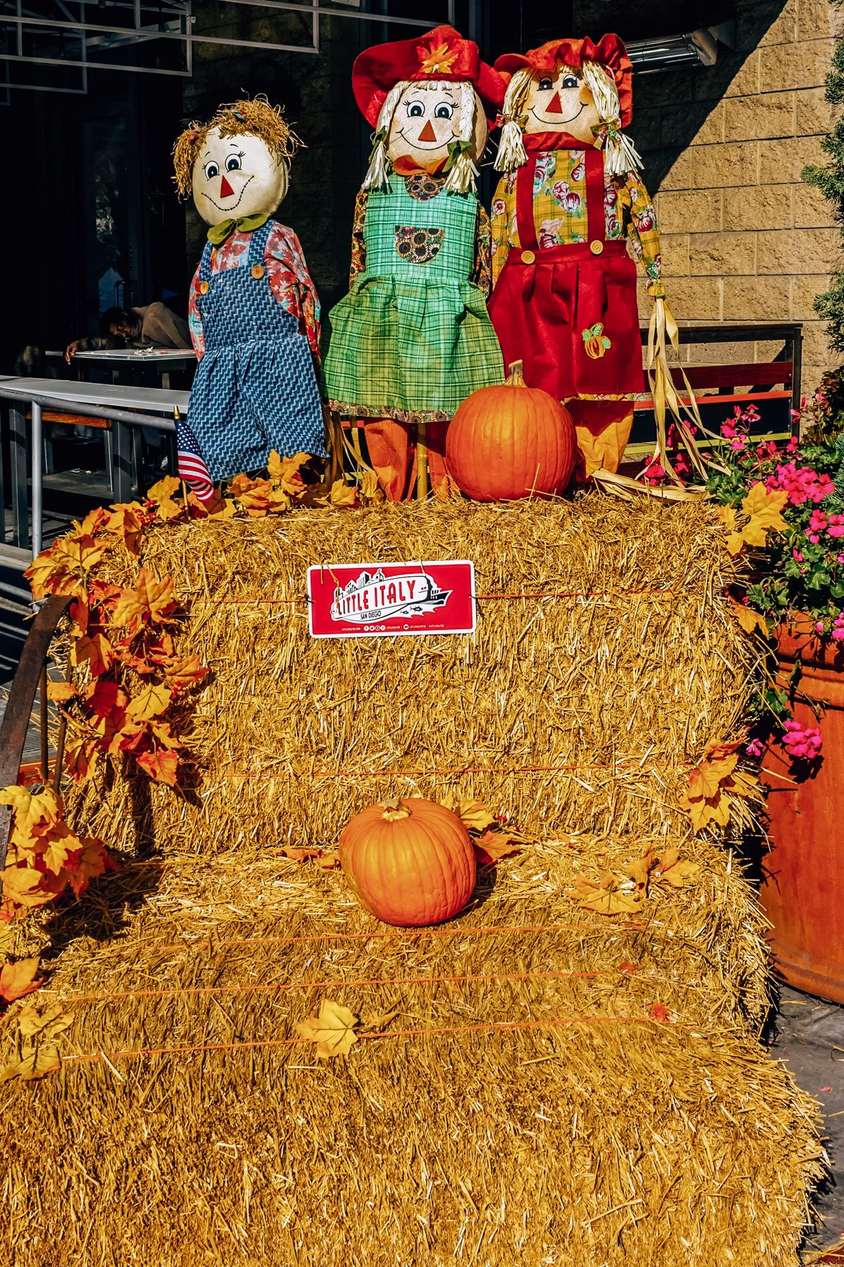 Best Pumpkin Patches in San Diego: three cloth scarecrows and several pumpkins perched on top of a stack of hay bales that display a small sign reading "Little Italy San Diego."