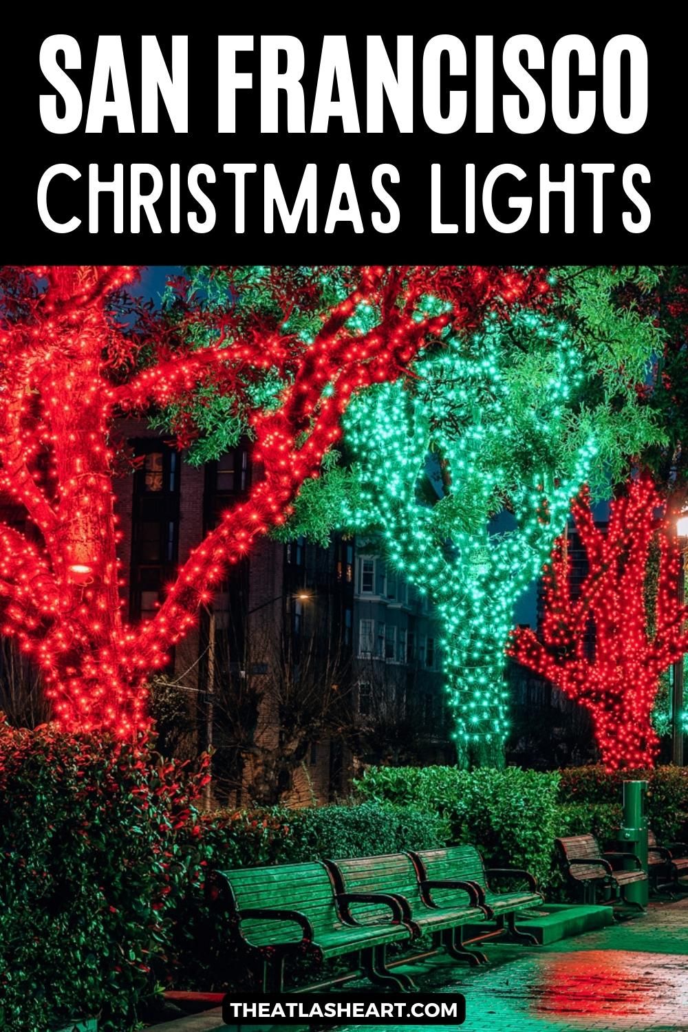 A grove of trees in a park at night with their trunks wrapped in red and green Christmas lights and benches beneath them, bathed in a green glow, with the text overlay, "Best Christmas Lights in San Francisco."