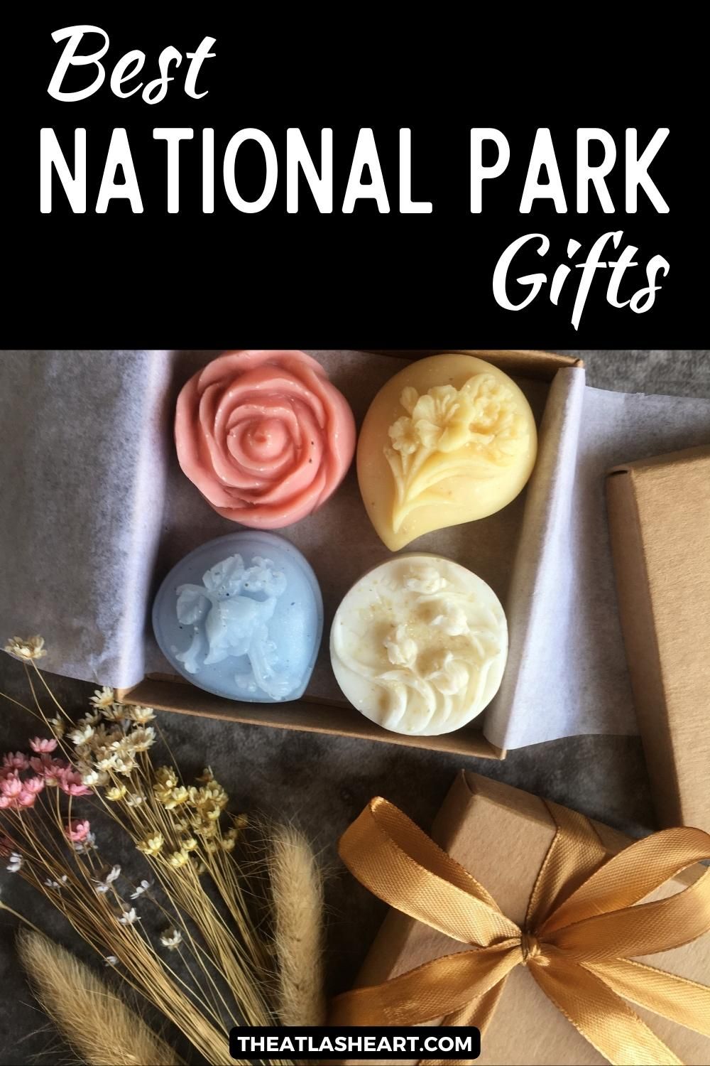 Best National Park Gifts Pin