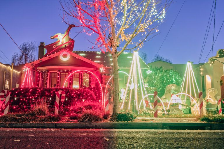 16 BEST Christmas Lights In San Francisco 🌲 2024 Guide