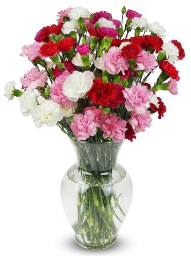 Product image for the Bouquet of Carnations in a glass vase.