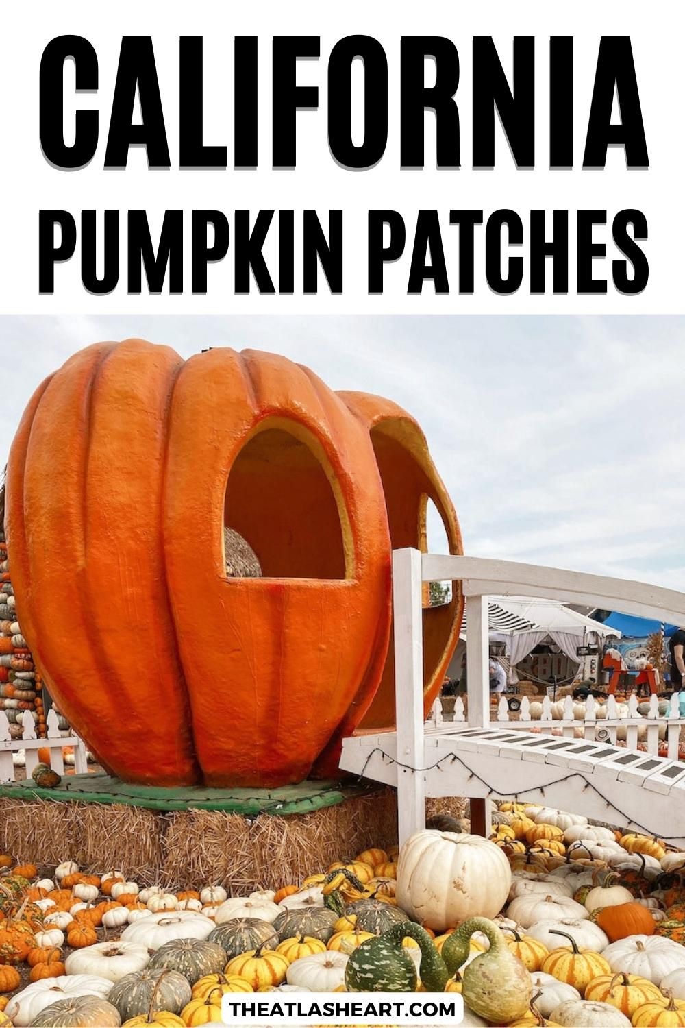 A white footbridge leading to a giant, fiberglass pumpkin-house surrounded by decorative gourds and pumpkins, with the text overlay, "California Pumpkin Patches."