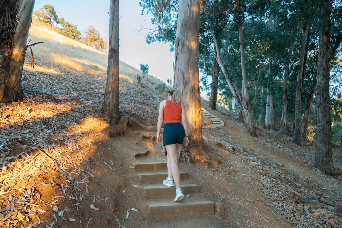 Mimi walking up stairs in a forest with her back to the camera, wearing her favorite hoka sneakers.