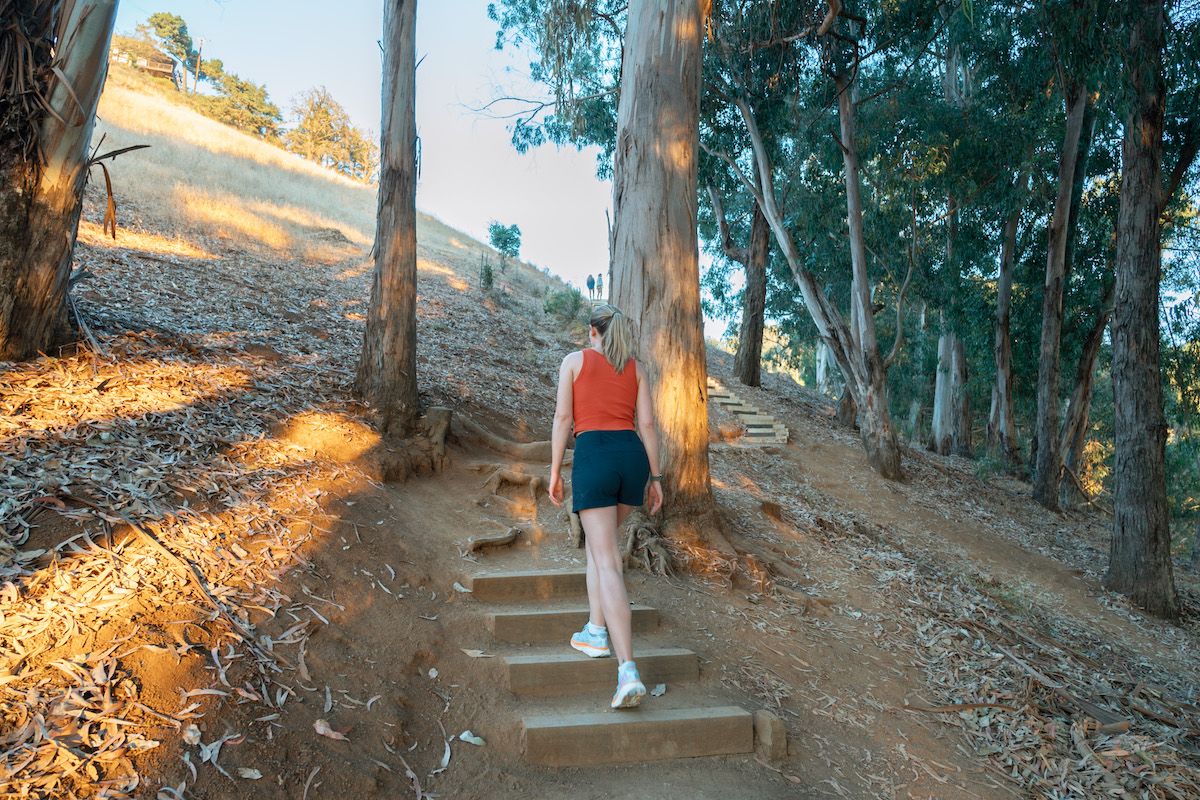 A young woman wearing light blue Hoka walking shoes, an orange tank top, and navy shorts seen from behind as she walks up a set of stairs cut into a hillside amidst a eucalyptus grove. 