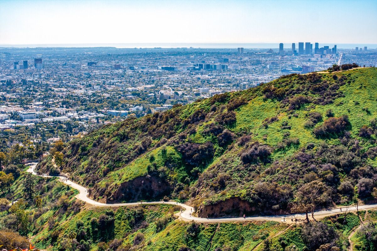 Griffith Park is green and wild in the foreground with a walking path winding down the hill and the dense and grey LA city in the background and ocean in the far distance.