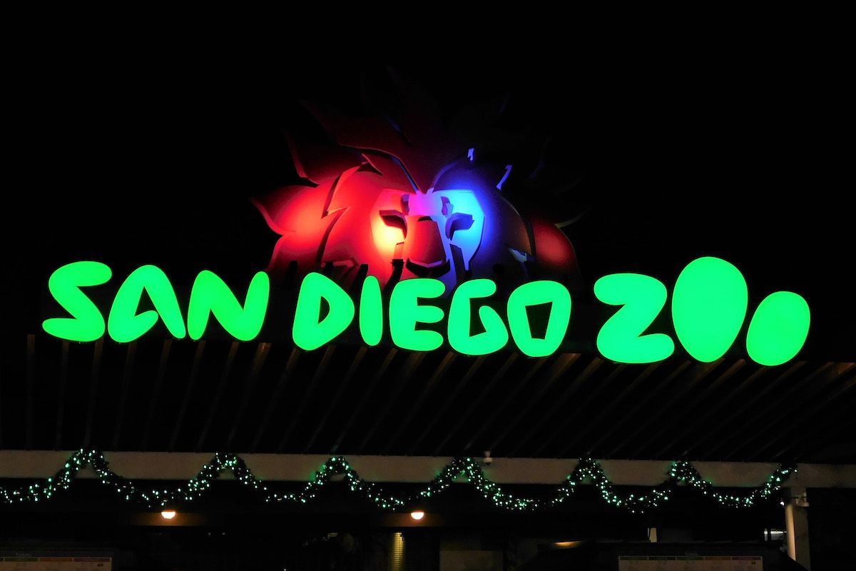 The illuminated from entrance sign  at the San Diego Zoo picture at night decorated with Christmas garlands for Jungle Bells.