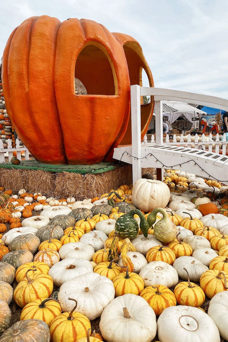 A white footbridge leading to a giant, fiberglass pumpkin-house surrounded by decorative gourds and pumpkins.