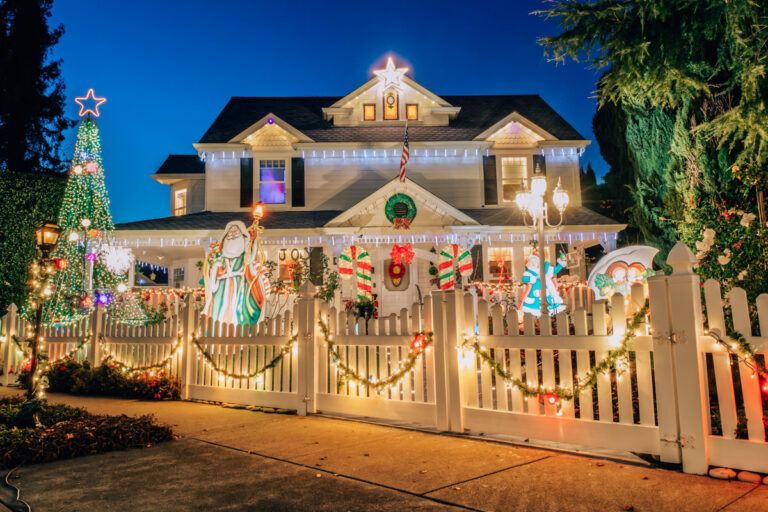 16 BEST Christmas Lights In San Francisco 🌲 2024 Guide