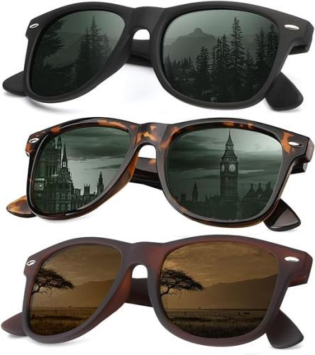 Polarized Sunglasses
Three pair of sunglasses in black, tortoise, and matte brown.