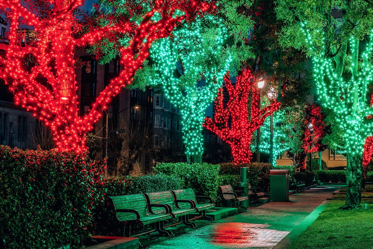 A grove of trees in a park at night with their trunks wrapped in red and green Christmas lights and benches beneath them, bathed in a green glow.