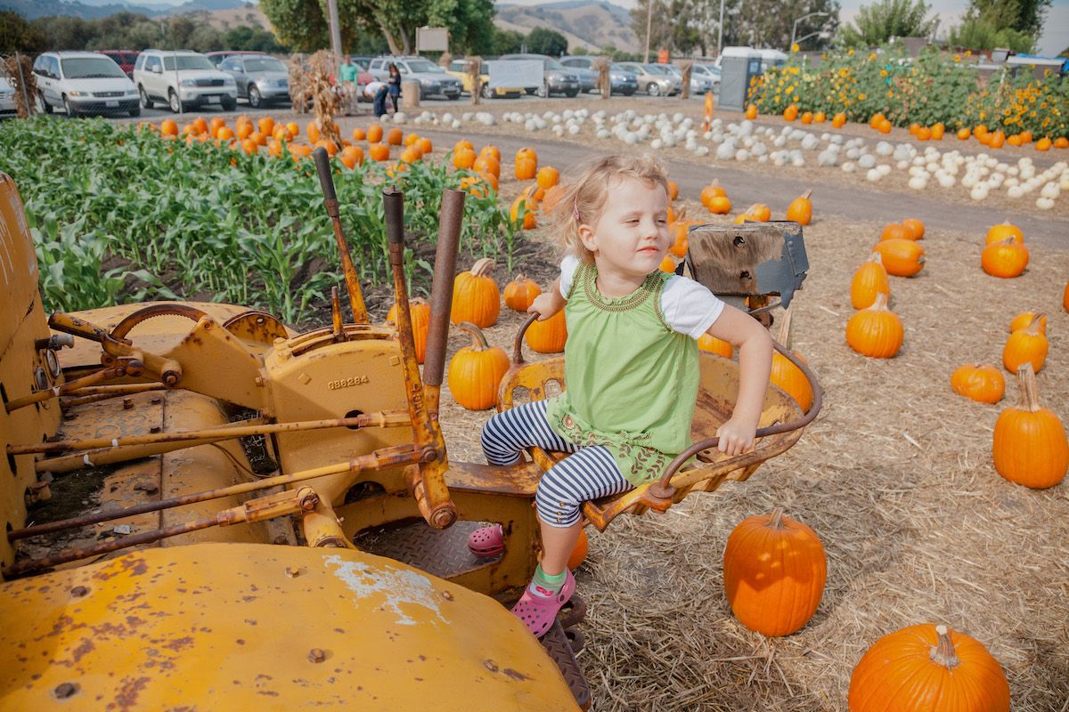 A young, blond girl in a green dress and striped leggings sits on a tractor, with rows of corn and orange and white pumpkins arranged on the ground behind her.