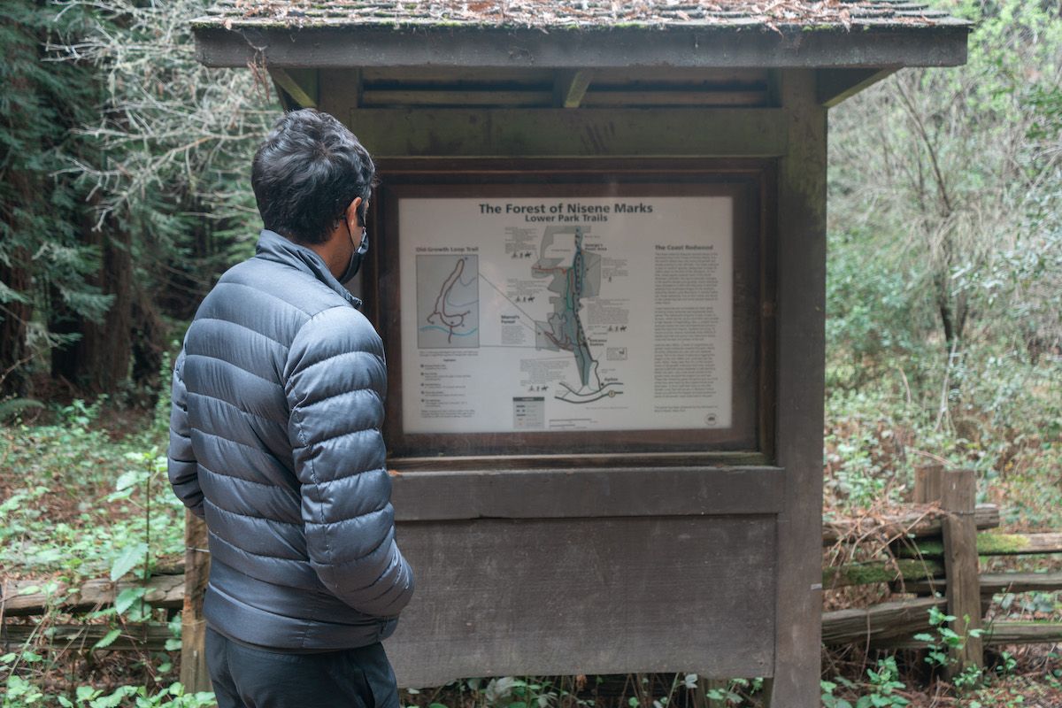 A man in a grey puffy windbreaker seen from behind as he studies a brown sign with a trail map, and a redwood forest behind it. 