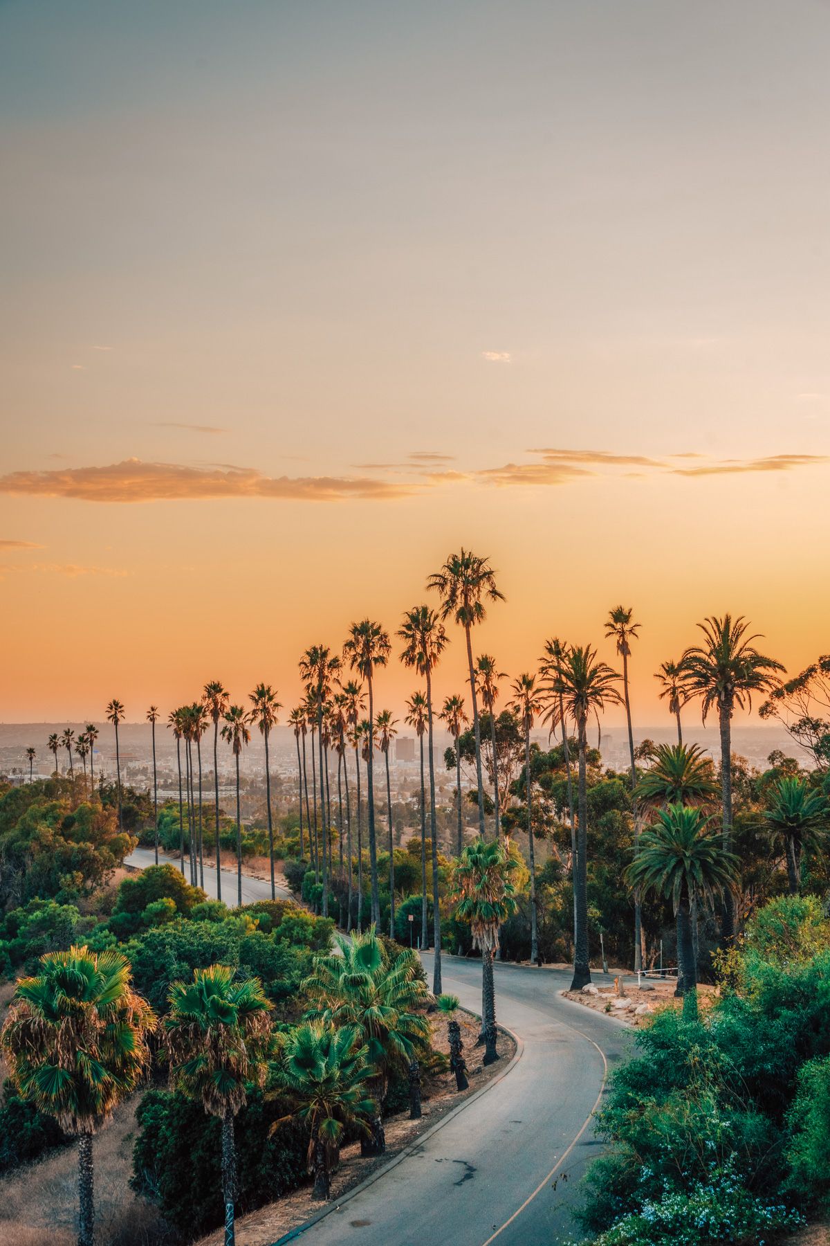A scenic palm tree-lined street with the hazy city in the distance and and orange sunset sky.
