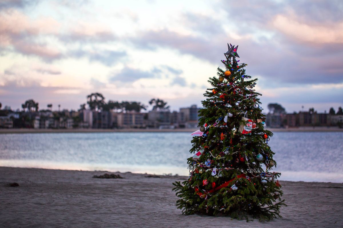 Christmas in San Diego, a small, decorated Christmas tree sitting on an empty beach at dusk.