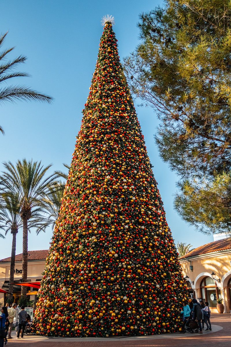 An enormous Christmas tree, every inch of it loaded with red and gold baubles, situated in a town square surrounded by palm trees on a sunny day.