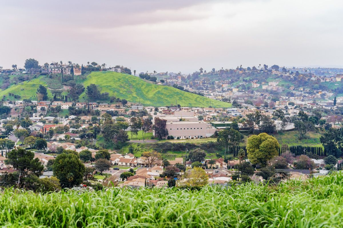 Green hills covered with residential neighborhoods, with bright green grass in the foreground and an overcast sky in the background.