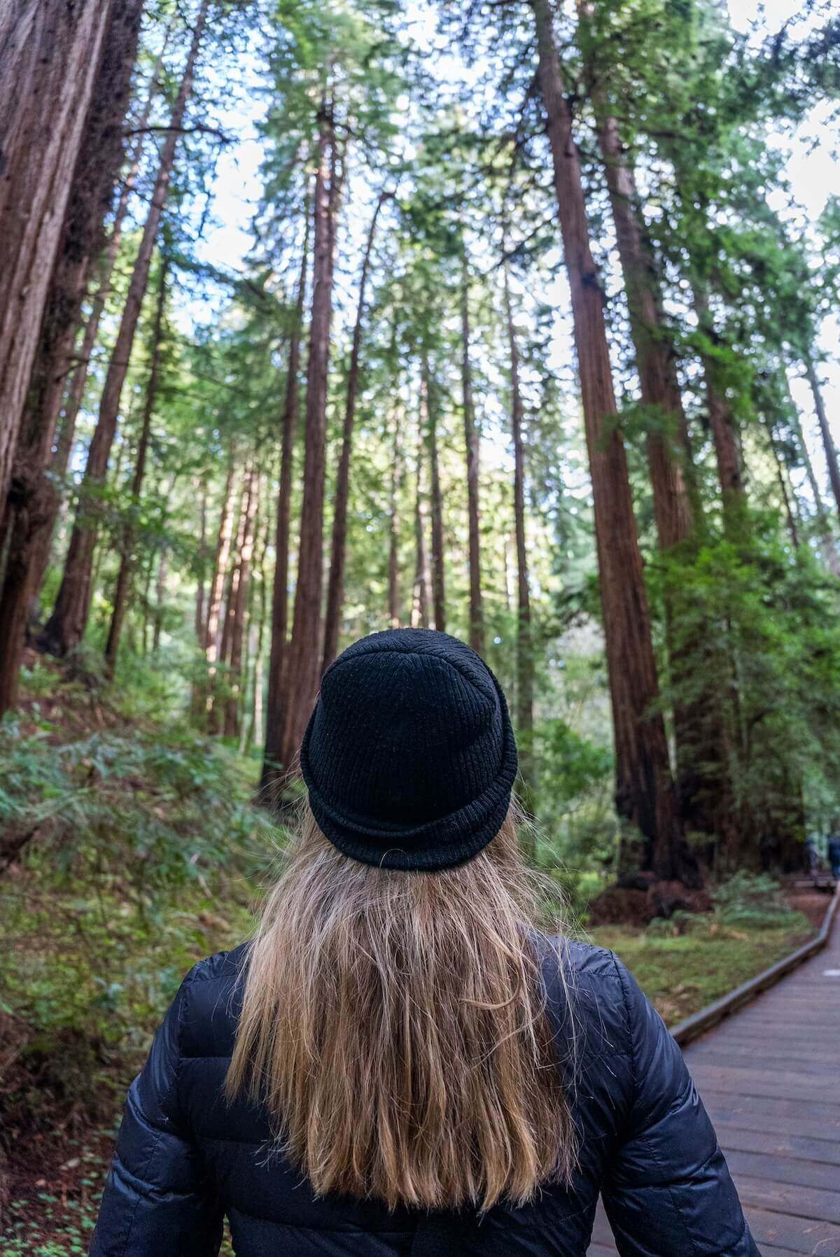 Best Time to Visit Muir Woods