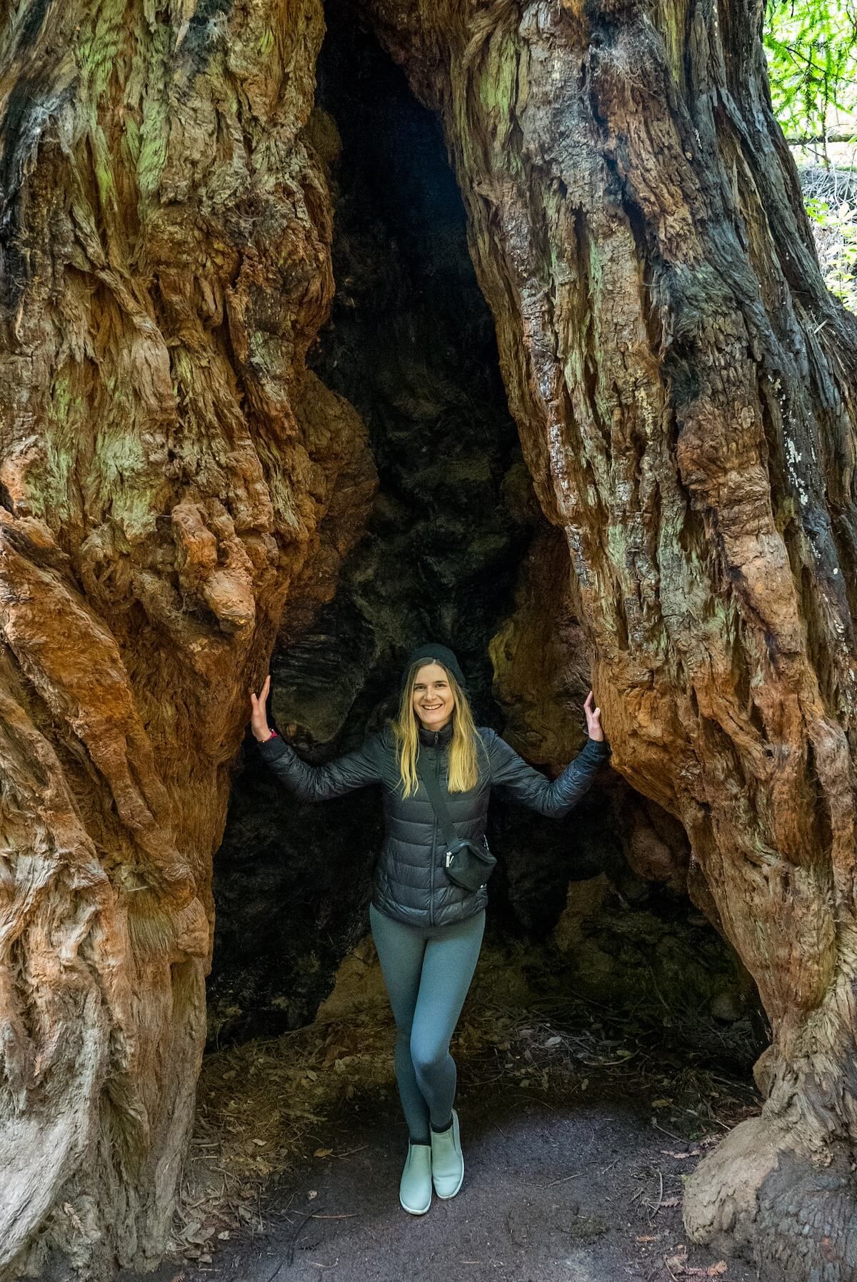 A woman stands inside an alcove in a massive redwood tree in Muir Woods National Monument, smiling at the camera.