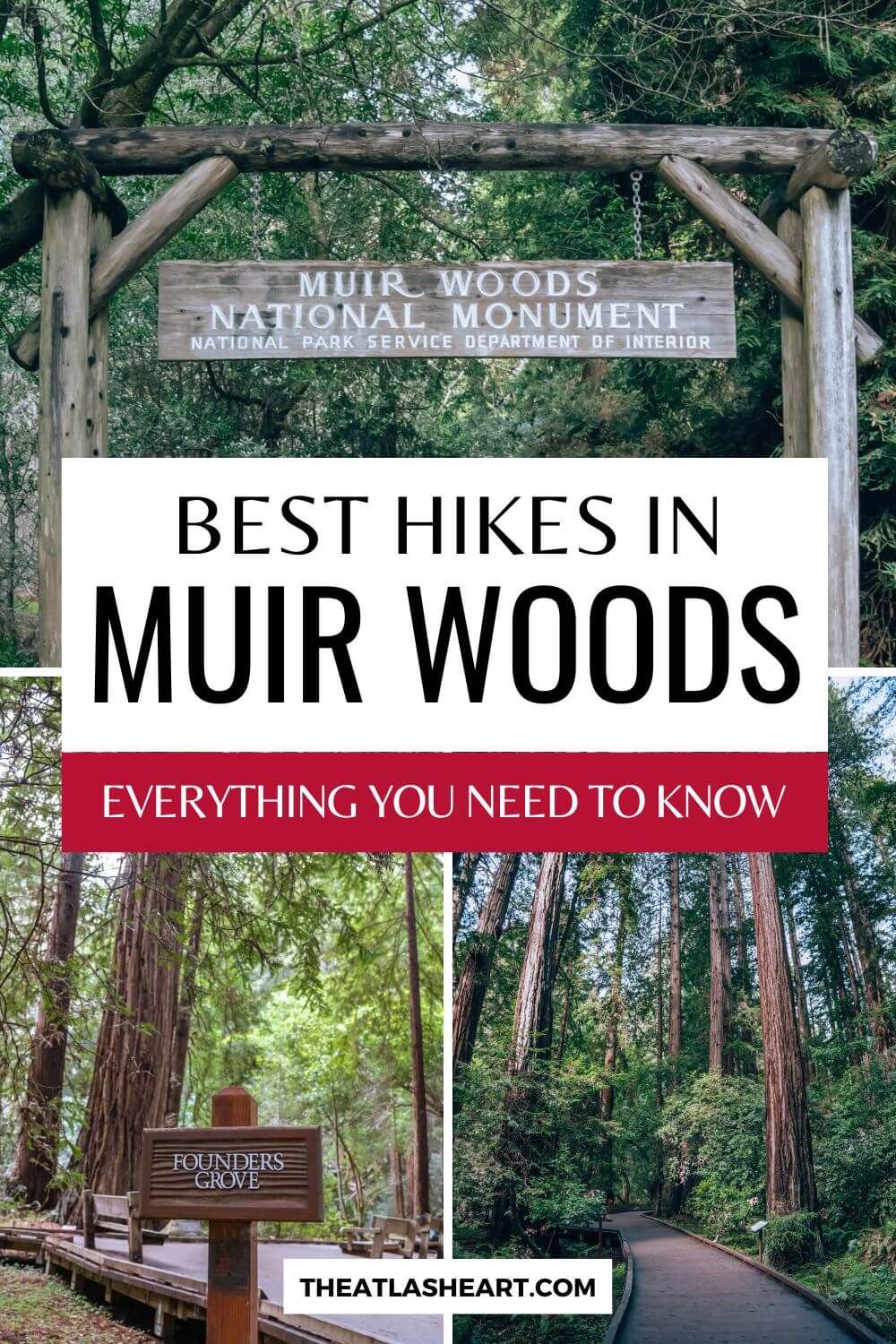 Best Hikes in Muir Woods Pin