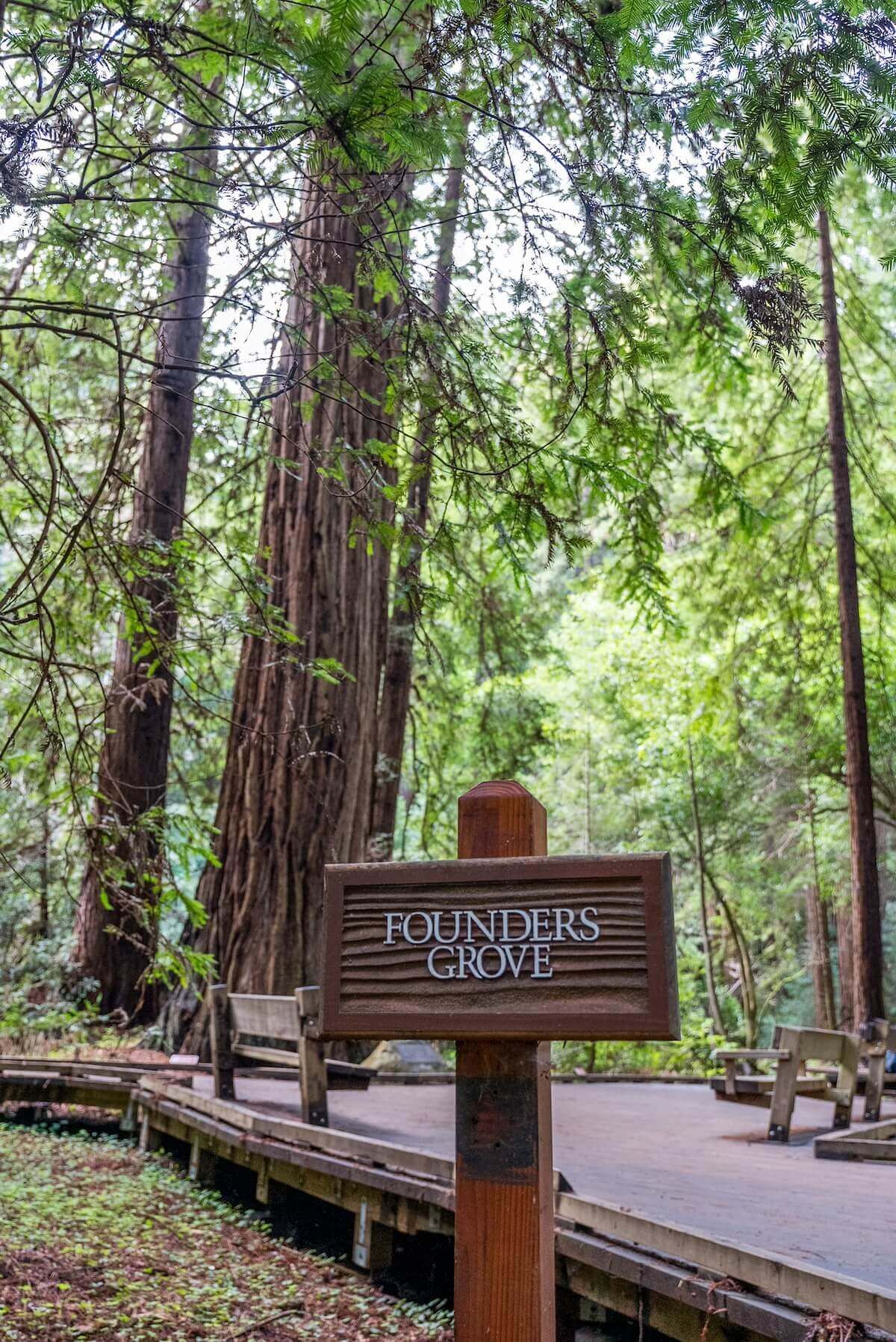 A wooden sign that reads, "Founders Grove" with tall redwood trees in the background.