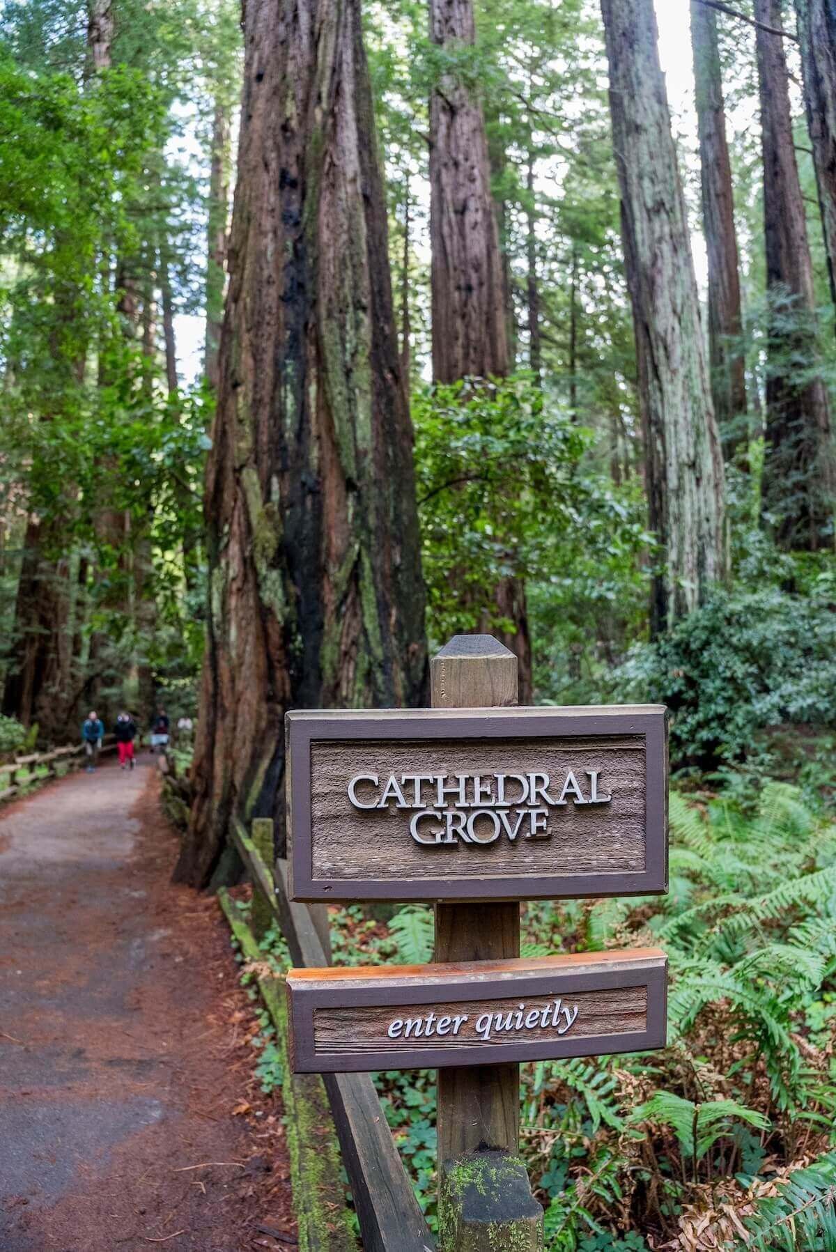 A wooden sign that says Cathedral Grove on the Muir Main Trail in Muir Woods.