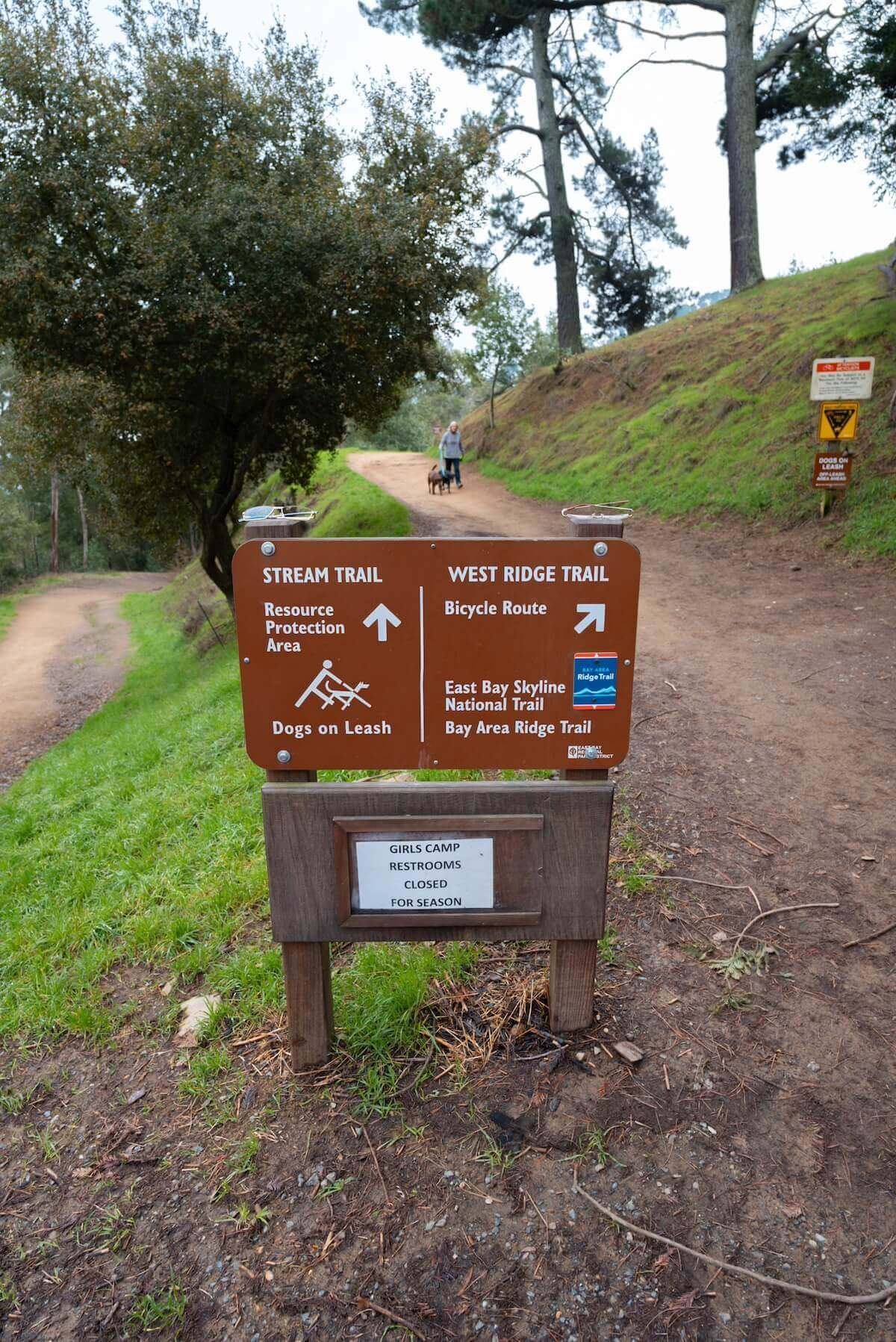 A brown trailhead sign posted at a fork in a dirt path at Reinhardt Redwood Regional Park.