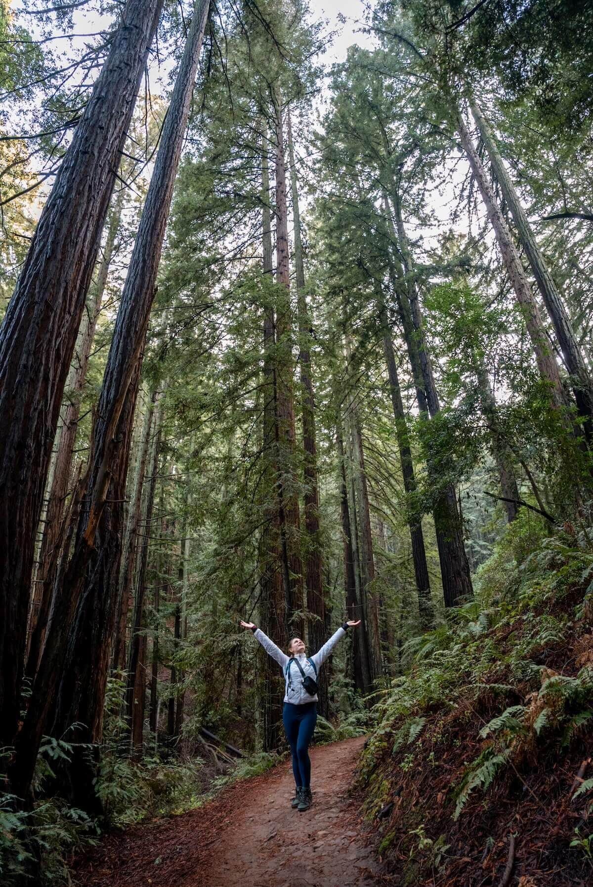 A female hiker stands facing the camera with her arms raised above her head on a path amidst a dense grove of tall, thin, redwoods in Reinhardt Redwood Regional Park.
