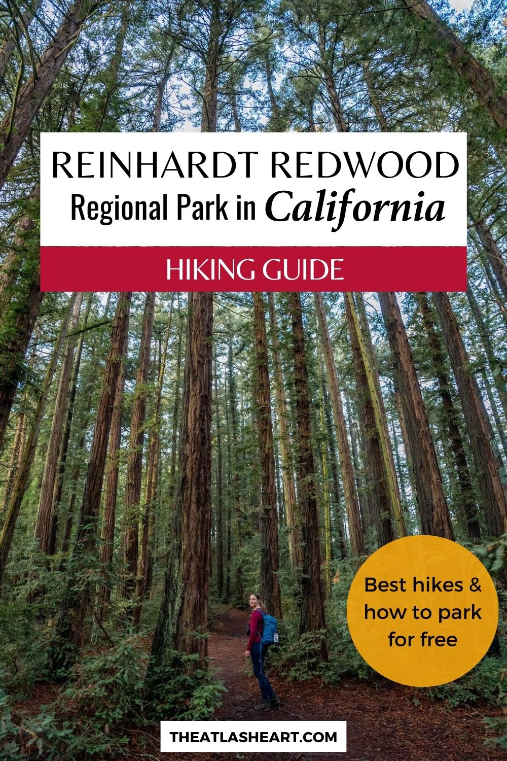 Reinhardt Redwood Regional Park Pin