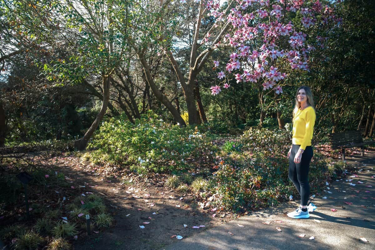 A young light-haired woman in black pants and a yellow shirt smiles at the camera while standing on a park path under a blooming magnolia tree.