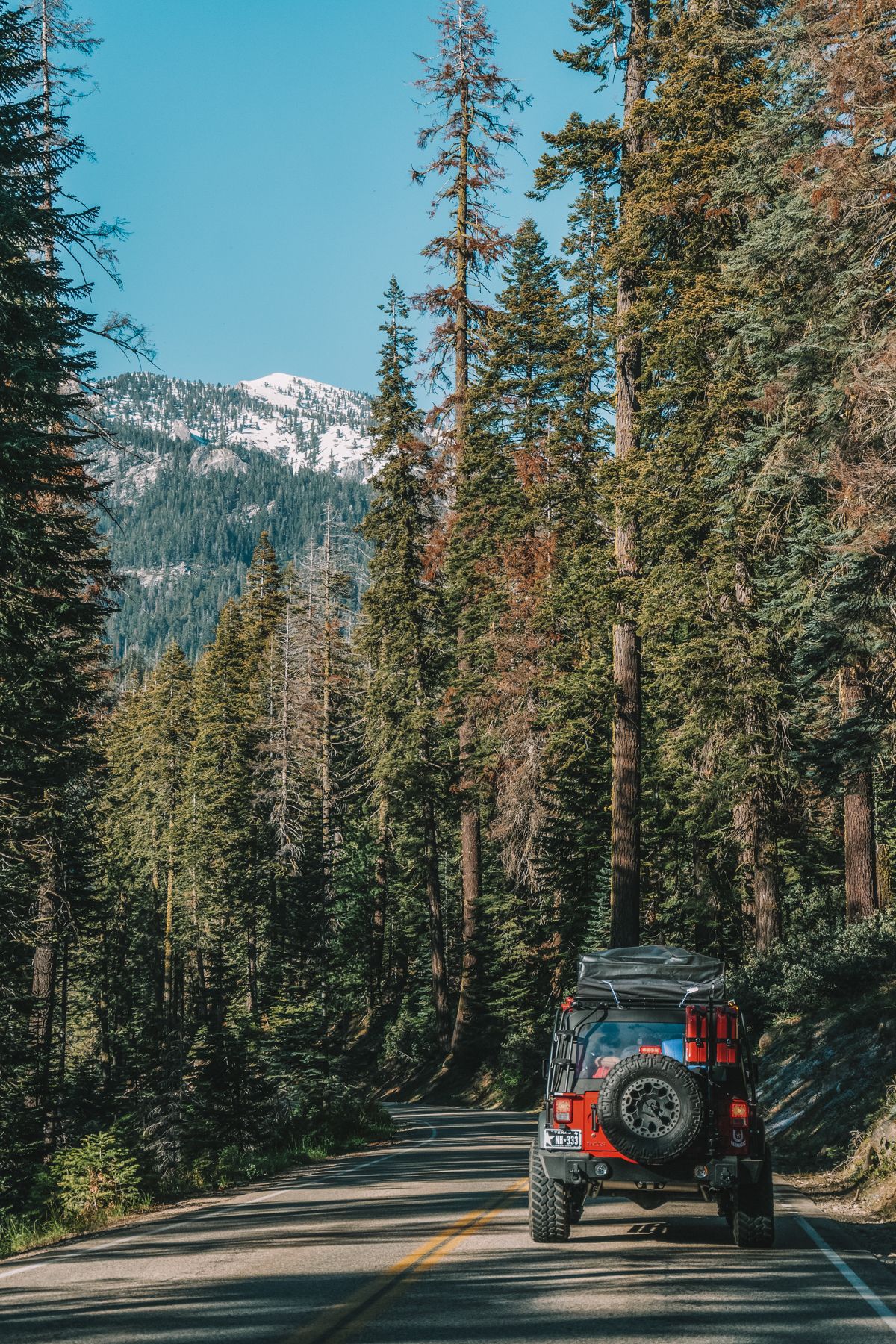 A jeep driving down a road through a forest, with a snowy peak in the distance.